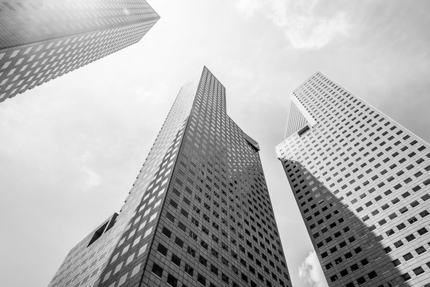 Real Estate Development Service